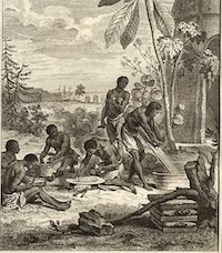 "Manioc Preparation, Kachao, Senegambia, 18th cent. ", Slavery Images: A Visual Record of the African Slave Trade and Slave Life in the Early African Diaspora, accessed June 14, 2020, http://www.slaveryimages.org/s/slaveryimages/item/1632. M. De La Harpe, Abrége de l